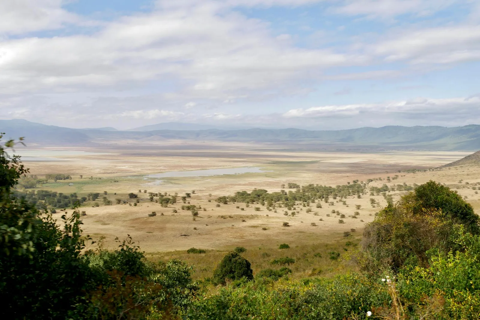 Ngorongoro crater landscape