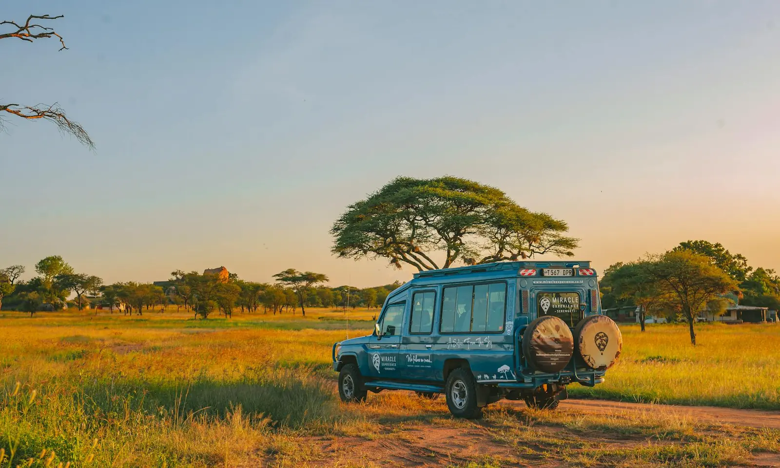 Serengeti landscape at golden hour