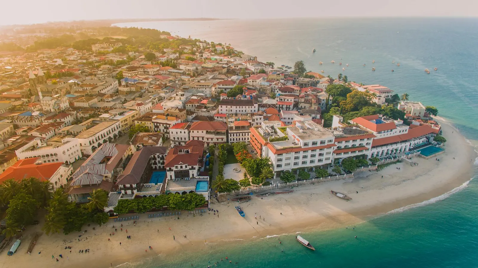 Zanzibar beachfront with palm trees and dhow on horizon